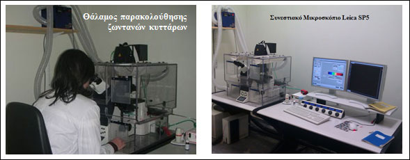 leitourgiki-microscopia-00b.jpg