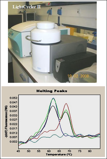 realtime-pcr-00.jpg